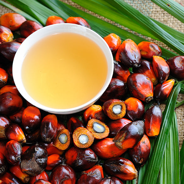 Mesa Redonda sobre Aceite de Palma Sostenible (RSPO)