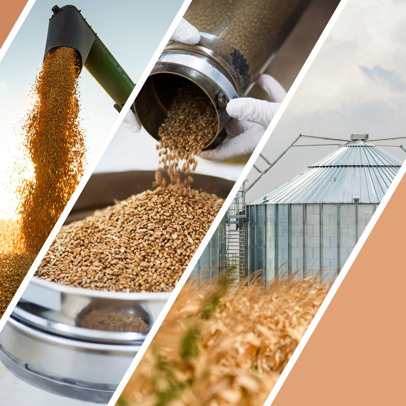 Consolidated Standards for Inspection Prerequisite & Food Safety Programs for Grain Handling Facilities - 2027 Update