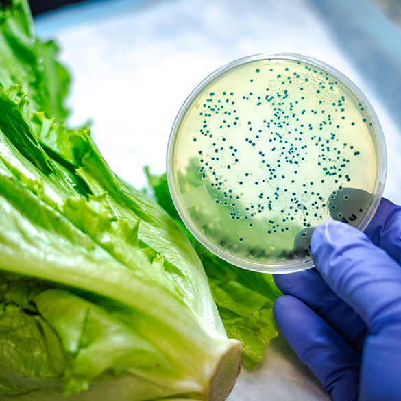 Traceability and Recall Online for Food & Beverage