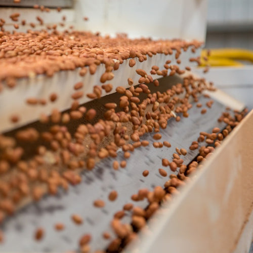 Foundational Approach to Allergen Control Webinar